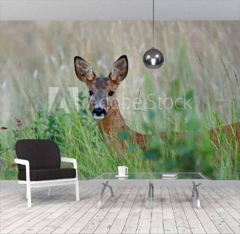 Picture of Undrande rdjur